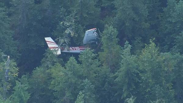 Two men found safe after plane crashes into trees in Skagit Valley