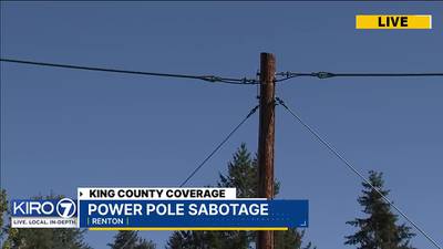 Customers to pay for $100k damage after King County power lines, equipment were ‘sabotaged’
