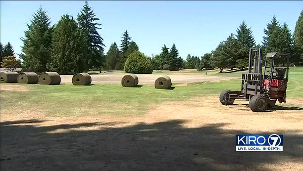 Everett golf course severely damaged after wrong chemicals sprayed on grass