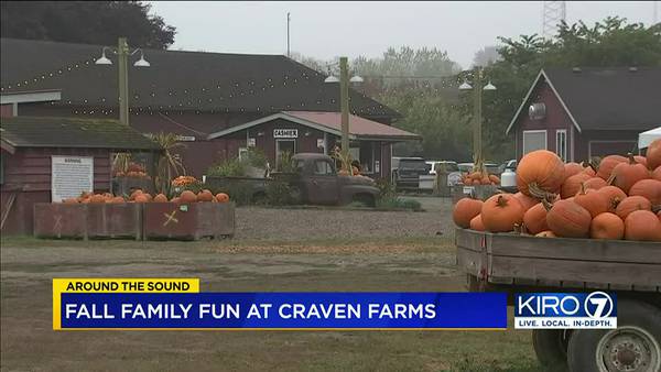 VIDEO: Fall family fun at Craven Farms