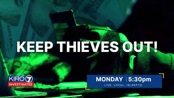 Monday at 5:30pm: How ATM card 'shimmers' have kept scammers one step ahead