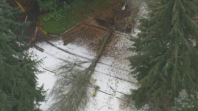 Power restored to most customers across Puget Sound following several days of snow, high winds
