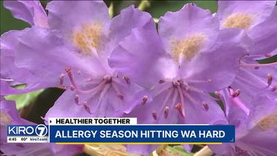 Healthier Together: Allergy season