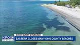 Popular King County beaches closed due to high bacteria levels