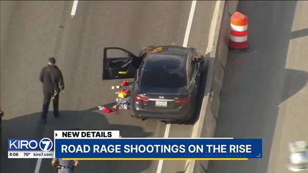 Road Rage shootings