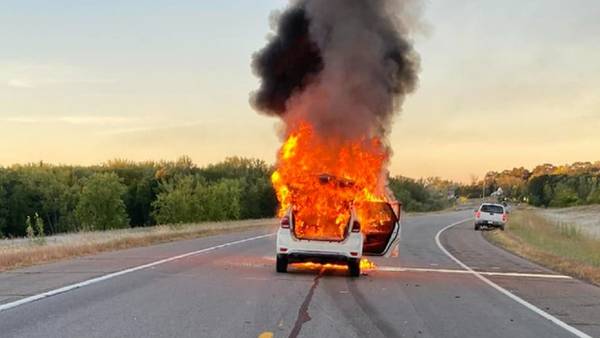 Minnesota motorist’s vehicle bursts into flames after striking deer