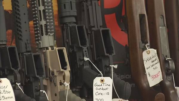 Proposed assault weapons ban a point of tension for Lynnwood City Council