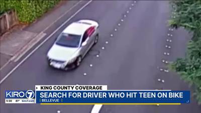 Bellevue police searching for hit-and-run driver who struck 13-year-old