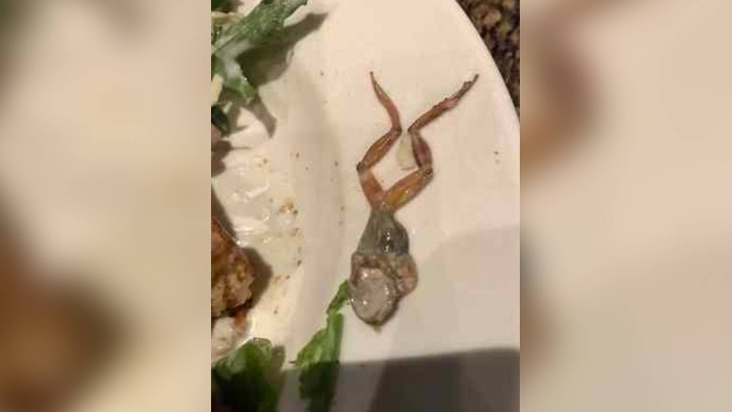 Woman finds frog in salad, keeps it as pet