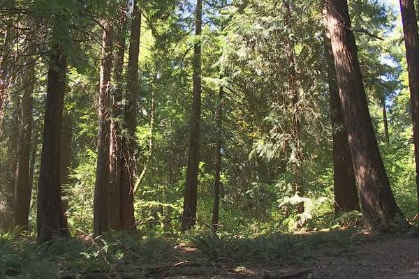 VIDEO: Increasing access and equality for all on local hiking trails