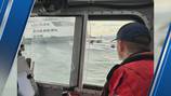 Coast Guard and Washington State Ferries crews rescue boaters and dogs