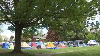 Migrants staying in Central District park cleared out