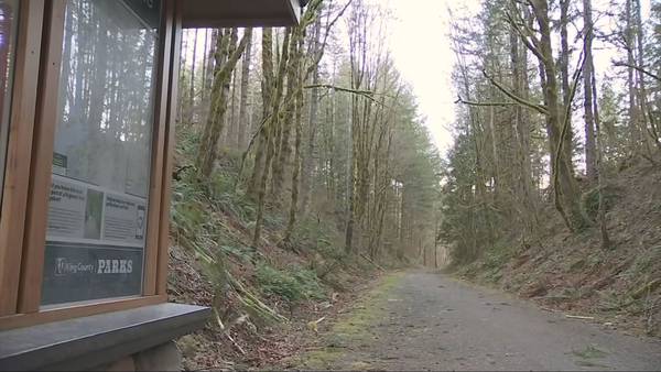 ‘I hope that she will recover’: 5 cyclists attacked by cougar in King County