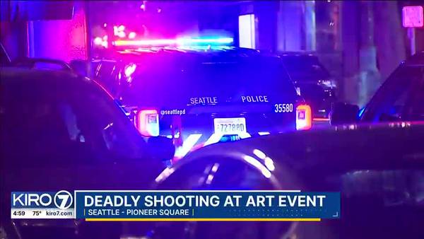 Deadly Shooting at Pioneer Square Art Event