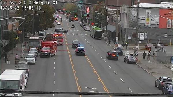 Pedestrian struck and killed by car in Seattle