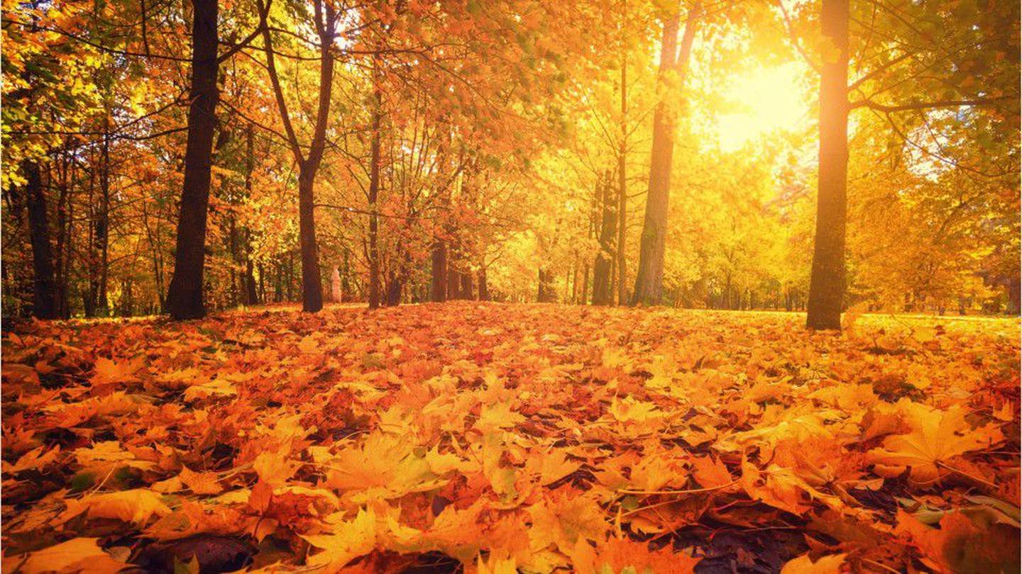 Autumnal equinox 2021 When is the first day of fall? KIRO 7 News Seattle