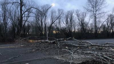 PHOTOS: Windstorm brings down trees, power lines