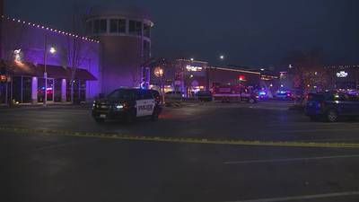 Two dead after shooting at The Landing in Renton