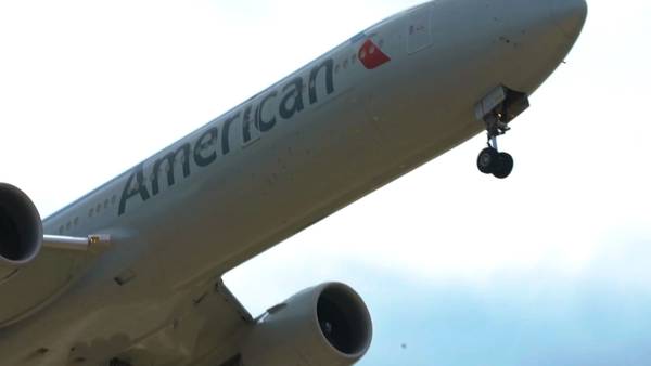VIDEO: Auburn man tries to strip off clothes on American flight