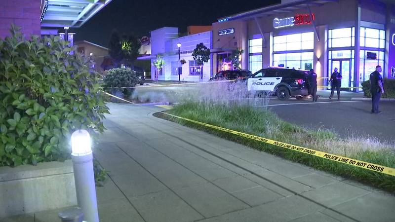 Scene of fatal shooting at the AMC theaters at the Kent Station shopping center.