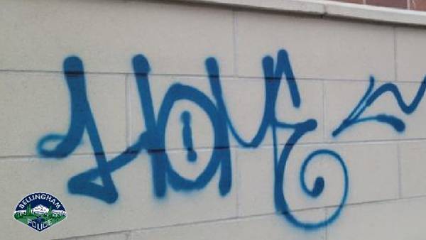 Police looking for more victims of prolific taggers arrested in Bellingham
