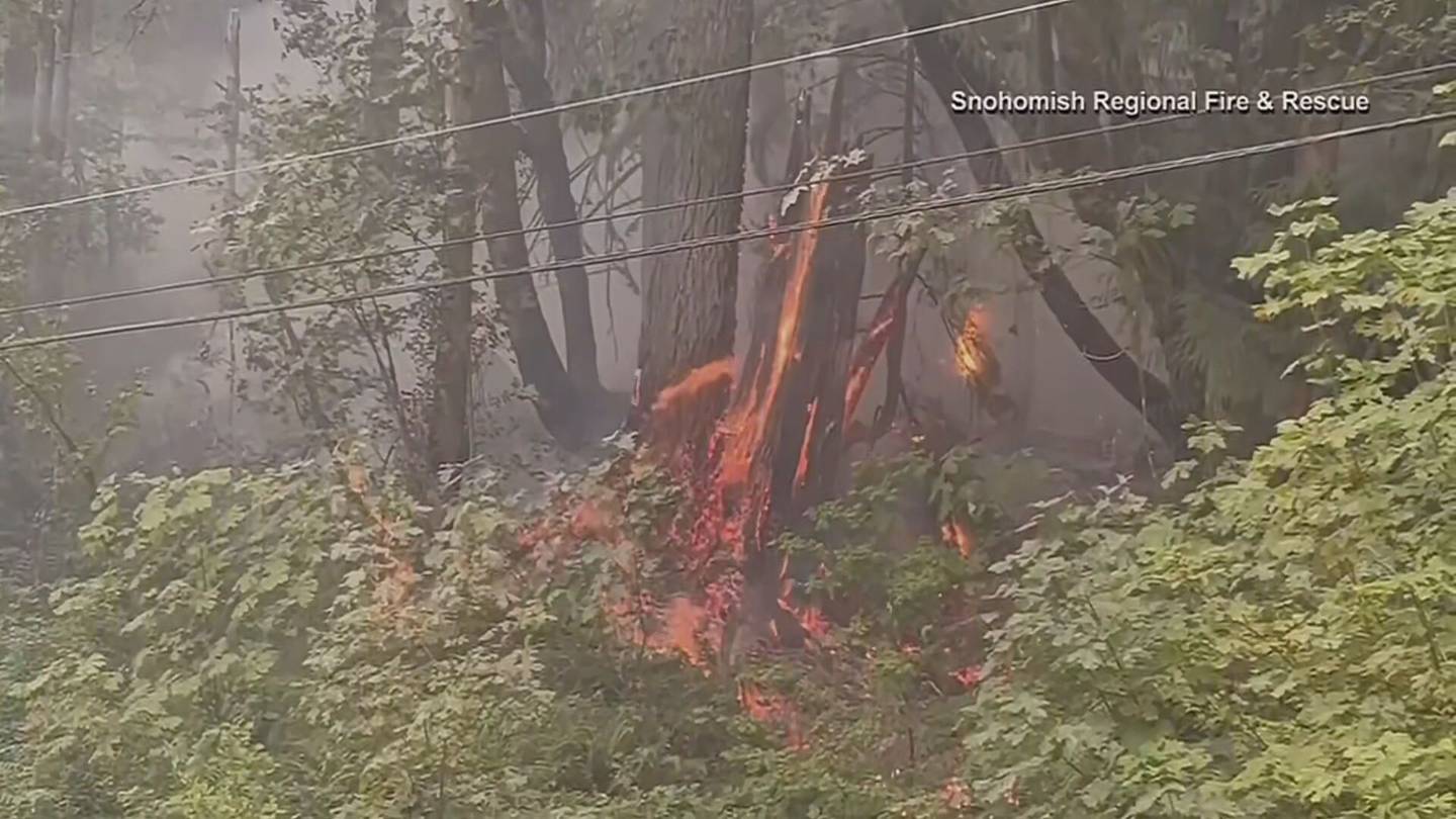 Video Evacuations Still In Place For Bolt Creek Fire Kiro 7 News Seattle 3008