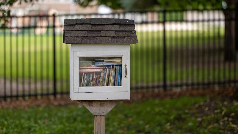 Little Free Library filled with books