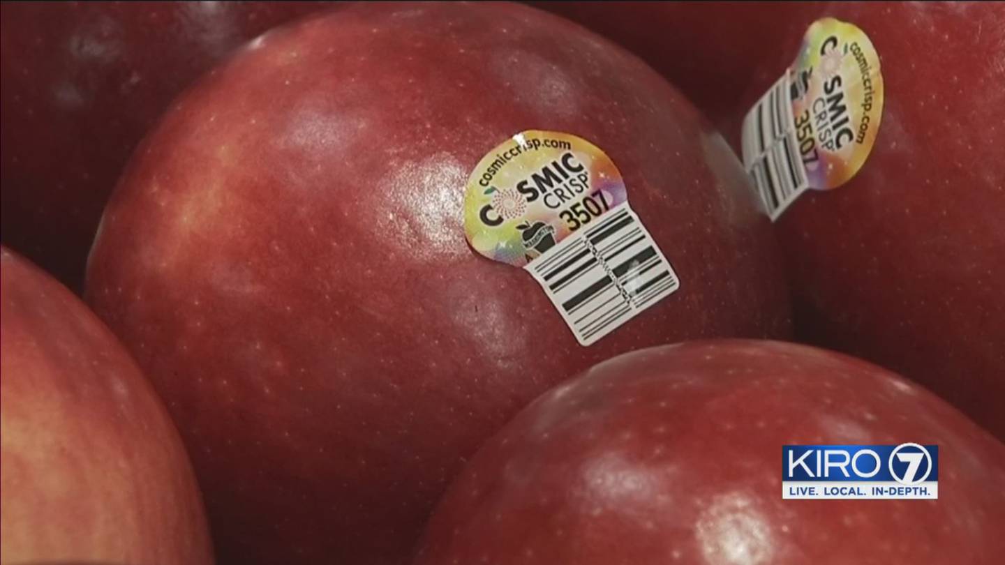Cosmic Crisp apple that can reportedly last for a year to hit US stores, Fruit