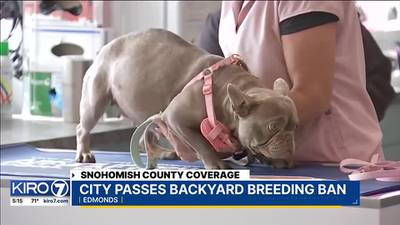 Edmonds passes backyard breeding ban