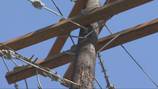 Thieves may have used bucket truck to reach overhead cable as copper wire thefts spike