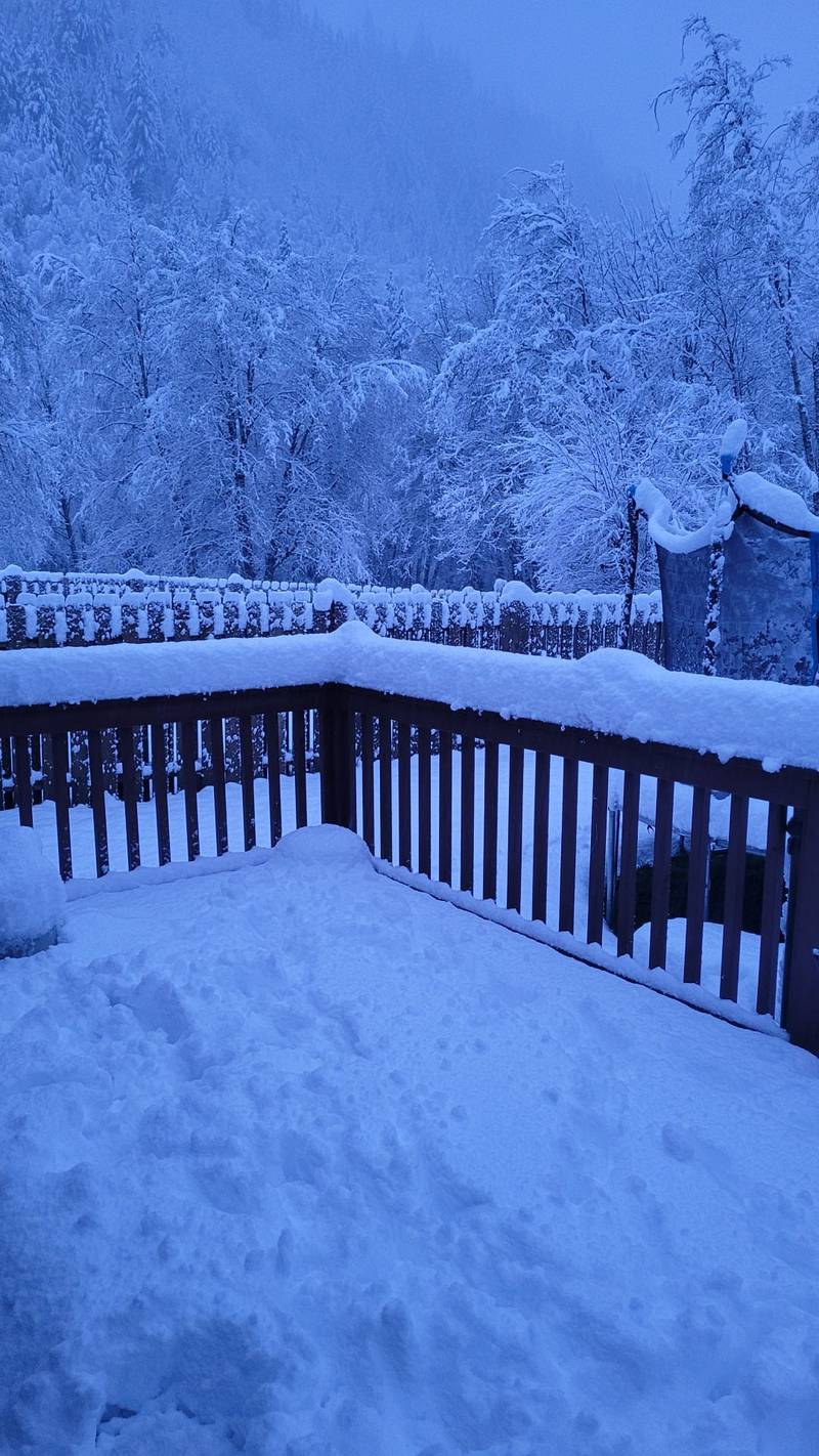 Snow in Randle, WA