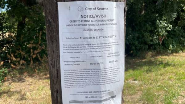 VIDEO: City of Seattle to clean up stretch of Interurban Trail