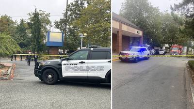 Suspect arrested in stabbing near Bellevue school