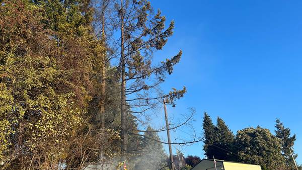 Snohomish crews put out fire that took out powerline, shutdown SR 9