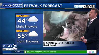 KIRO 7 Pet Walk Forecast for Wednesday