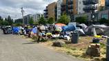 People living in Burien homeless encampment move out, animal shelter now leasing lot