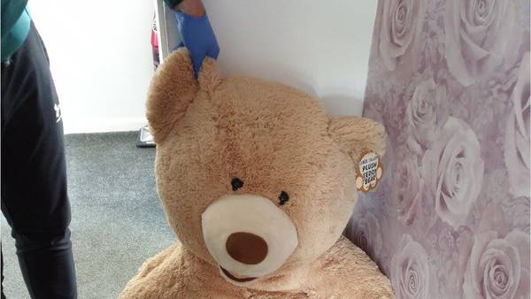 Police: ‘Breathing’ giant teddy bear leads officers to suspected car thief’s hiding spot