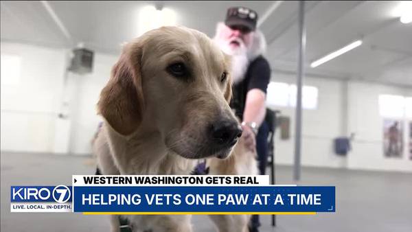 Gets Real: ‘Paws for Purple Hearts’ trains service dogs for struggling veterans