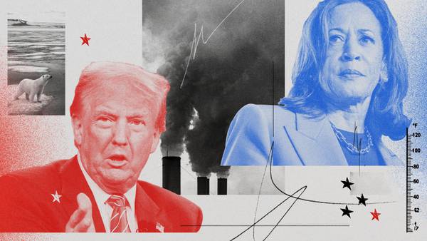 The Stakes: What a Trump or Harris presidency would mean for climate change