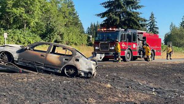 Car fire on northbound I-5 in Federal Way triggers brush fire