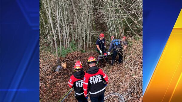 2 rescued after car goes over embankment