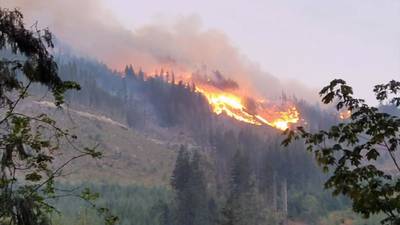 Woman and her friend witness Bolt Creek Fire early Saturday morning