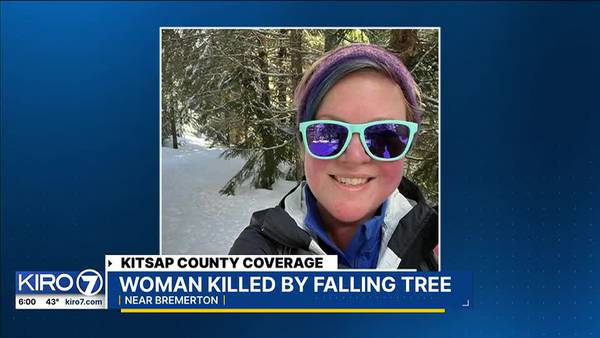 Friends and family remember avid hiker-equal justice advocated killed by falling tree
