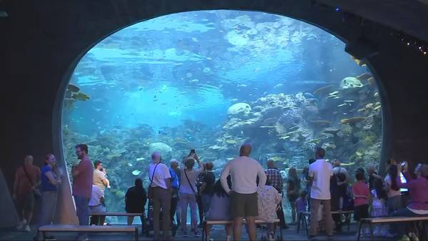 As the Seattle Aquarium’s ‘Ocean Pavilion’ opens, leaders push for more work to protect our oceans