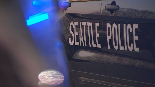Two People Injured in South Seattle Stabbing