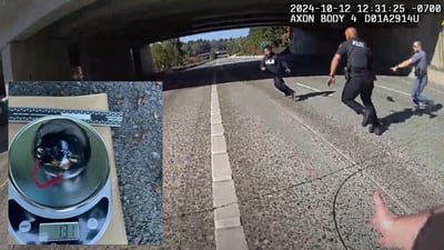 New video released: Man arrested after allegedly trying to light explosive device on I-90