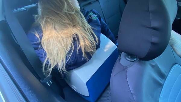 Carpool lane cheater claims dummy in back seat is training aid