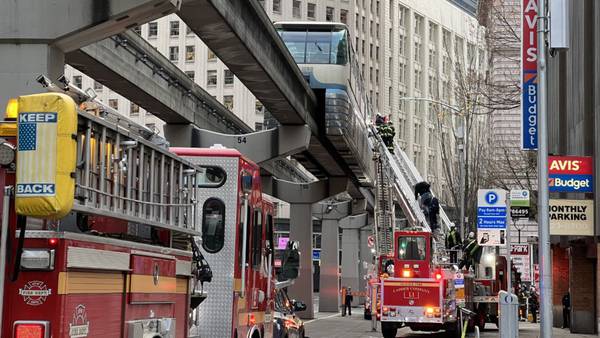 Seattle Monorail loses power, briefly trapping passengers on board