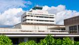 Hawaii airport closed multiple gates to deep clean after bed bug discovery