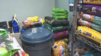 Tacoma shelter in dire need of pet food donations, asking community for aid